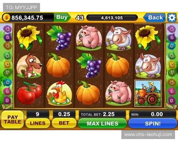 老虎机网址娱乐平台的选择与推荐，给你带来不一样的游戏体验